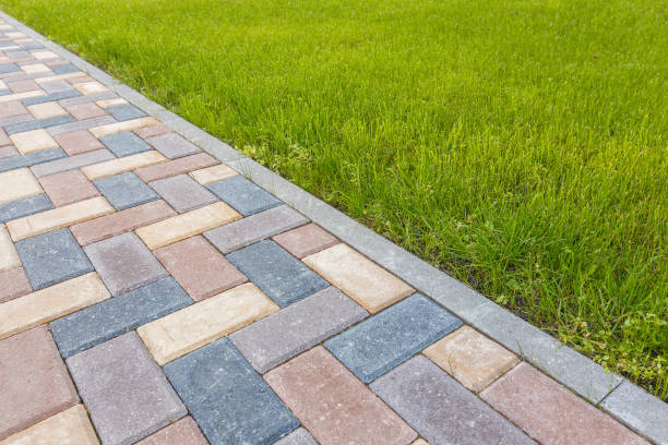 Best Local Driveway Pavers  in East Brooklyn, CT